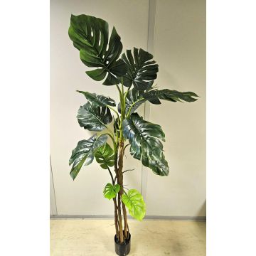 Fake Pflanze Philodendron monstera deliciosa CUNKYN im Dekotopf, 180cm