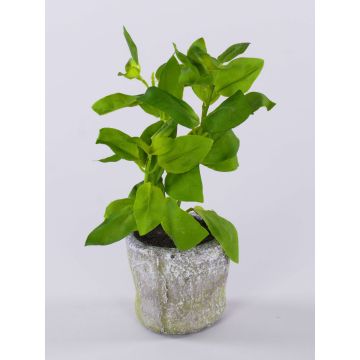 Künstliche Kräuter Basilikum POLINDA im Dekotopf, grün, 26cm