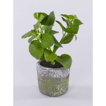 Künstliche Kräuter Minze POLINDA im Dekotopf, grün, 26cm