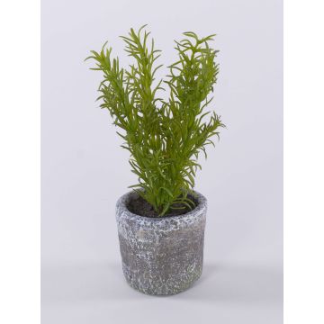 Künstliche Kräuter Rosmarin POLINDA im Dekotopf, grün, 26cm