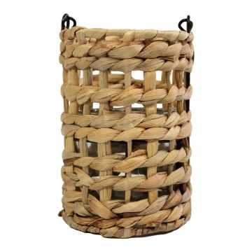 Korb Laterne RICHARDA, Wasserhyazinthe, Henkel, Glaseinsatz, braun, 17cm, Ø12cm