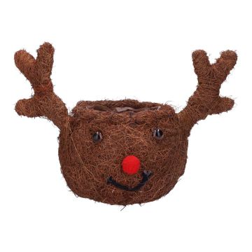 Reisig Blumenkorb LISSO, Reniter Kopf, braun, 27x15,8x19cm