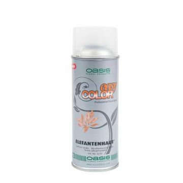 OASIS® Trockenblumen Elefantenhaut Spray, transparent, 400ml