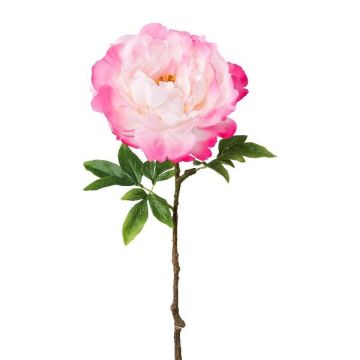 Plastikblume Pfingstrose GLOUT, rosa, 65cm