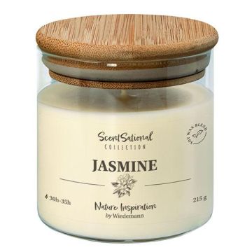 Duftkerze FERDINANDINE im Glas, Sojawachsmischung, Jasmine, elfenbein, 8cm, Ø8cm, 30h - Made in Germany Duftkerze FERDINANDINE im Glas, Sojawachsmischung, Jasmine, elfenbein, 8cm, Ø8cm, 30h - Made in Germany