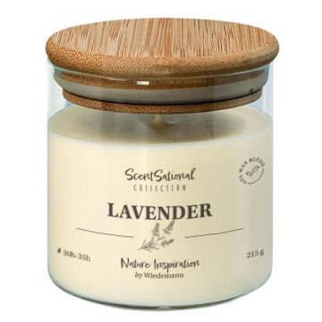 Duftkerze FERDINANDINE im Glas, Sojawachsmischung, Lavender, elfenbein, 8cm, Ø8cm, 30h - Made in Germany Duftkerze FERDINANDINE im Glas, Sojawachsmischung, Lavender, elfenbein, 8cm, Ø8cm, 30h - Made in Germany