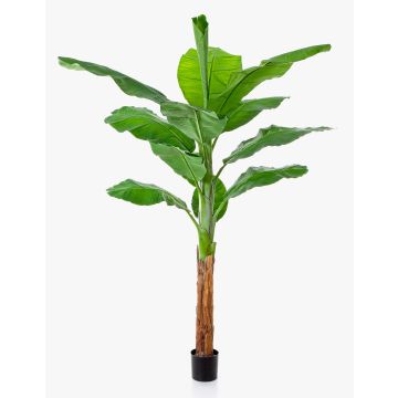 Deko Bananenpflanze OMERO, grün, 200cm Deko Bananenpflanze OMERO, grün, 200cm