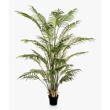 Deko Areca Palme LUVA, grün, 205cm Deko Areca Palme LUVA, grün, 205cm