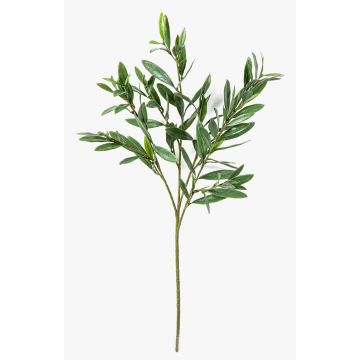 Künstlicher Olivenzweig BRANDAR, grün, 70cm