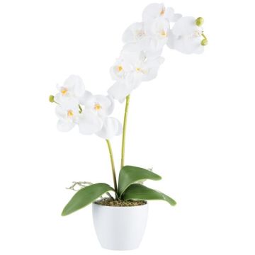 Textil Phalaenopsis Orchidee KRUZBER, Keramiktopf, Wurzeln, weiß, 55cm