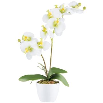 Textil Phalaenopsis Orchidee KRUZBER, Keramiktopf, Wurzeln, weiß-grün, 55cm