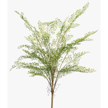 Kunstpflanze Frauenhaarfarn GLERAN auf Steckstab, Wurzeln, grün, 75cm Kunstpflanze Frauenhaarfarn GLERAN auf Steckstab, Wurzeln, grün, 75cm