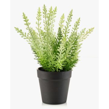 Erika künstlich ELSAWO im Dekotopf, crossdoor, weiß-grün, 30cm