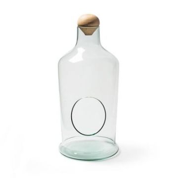 Terrarium Flaschengarten DULZE aus Eco Glas, Holzdeckel, klar, 35cm, Ø17cm Terrarium Flaschengarten DULZE aus Eco Glas, Holzdeckel, klar, 35cm, Ø17cm