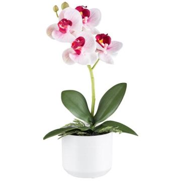 Kunst Phalaenopsis Orchidee WERKAN, Keramiktopf, Wurzeln, weiß-pink, 27cm