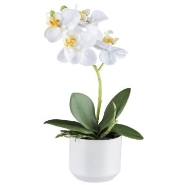 Kunst Phalaenopsis Orchidee WERKAN, Keramiktopf, Wurzeln, weiß, 27cm