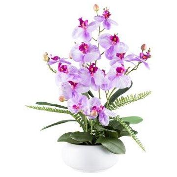 Blumengesteck Künstlich Orchidee Farn SALTER in Keramikschale, hellviolett, 55cm Blumengesteck Künstlich Orchidee Farn SALTER in Keramikschale, hellviolett, 55cm