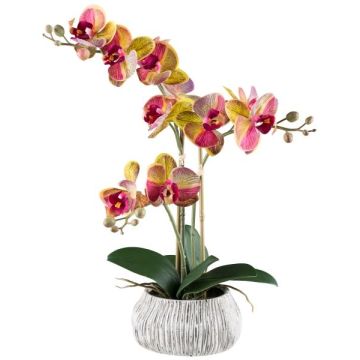 Textil Phalaenopsis Orchidee BLORVEN, Zementschale, Wurzeln, gelb-pink, 50cm
