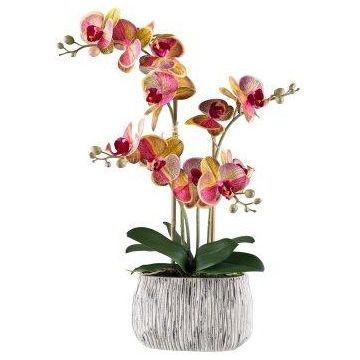 Textil Phalaenopsis Orchidee BLORVEN, Zementschale, Wurzeln, gelb-pink, 55cm