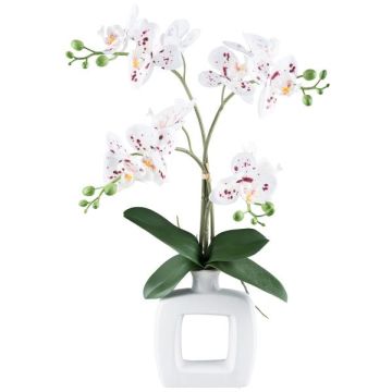 Textil Phalaenopsis Orchidee DRUKLON, Keramikvase, Wurzeln, weiß-rot, 40cm