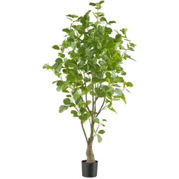 Künstlicher Eukalyptus Baum MERNAS, Kunststamm, grün, 130cm Künstlicher Eukalyptus Baum MERNAS, Kunststamm, grün, 130cm
