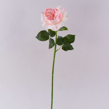 Künstliche Rose GINAKAL, hellrosa, 65cm
