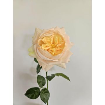 Künstliche Rose GINAKAL, aprikose, 65cm Künstliche Rose GINAKAL, aprikose, 65cm