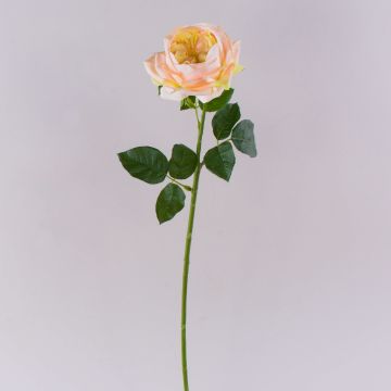 Künstliche Rose GINAKAL, aprikose, 65cm