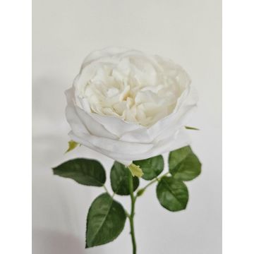 Künstliche Rose GINAKAL, creme-weiß, 65cm Künstliche Rose GINAKAL, creme-weiß, 65cm
