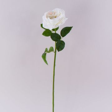 Künstliche Rose GINAKAL, creme-weiß, 65cm Künstliche Rose GINAKAL, creme-weiß, 65cm