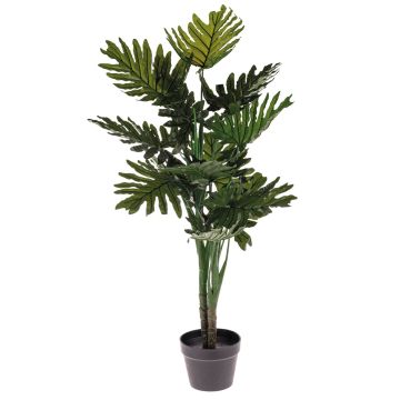 Dekobaum Philodendron selloum RIALTO, 100cm Dekobaum Philodendron selloum RIALTO, 100cm