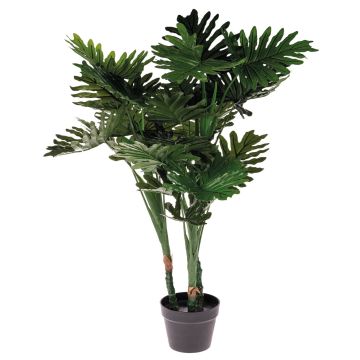Dekobaum Philodendron selloum RIALTO, 105cm Dekobaum Philodendron selloum RIALTO, 105cm