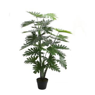 Dekobaum Philodendron selloum RIALTO, 120cm