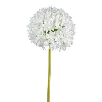 Kunstblume Allium KLATE, weiß, 90cm, Ø15cm