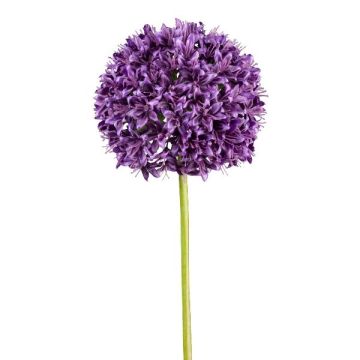 Kunstblume Allium KLATE, violett, 90cm, Ø15cm