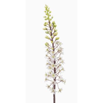 Künstliche Blume Steppenkerze SCHENRA, weiß-grün, 95cm