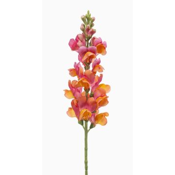 Künstliche Blume Löwenmäulchen DAENERYS, rosa-orange, 80cm