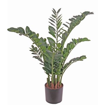 Deko Pflanze Zamioculcas JANGOLIE, 110cm Deko Pflanze Zamioculcas JANGOLIE, 110cm