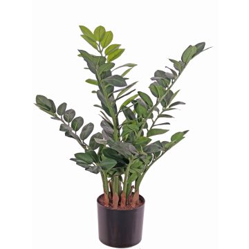 Deko Pflanze Zamioculcas JANGOLIE, 70cm Deko Pflanze Zamioculcas JANGOLIE, 70cm