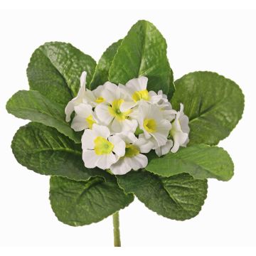 Kunstblume Primel SUNDARA auf Steckstab, weiß, 20cm, Ø4cm Kunstblume Primel SUNDARA auf Steckstab, weiß, 20cm, Ø4cm