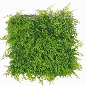 Deko Farn Zypresse Hecke / Matte DIANTA, crossdoor, 50x50cm