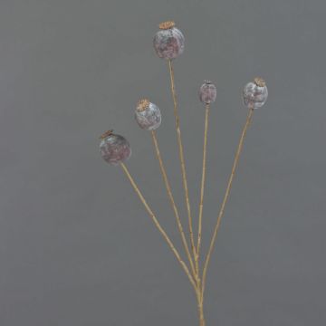 Kunst Mohnkapsel FILOMELA, dunkelbraun, 75cm, Ø2-3,5cm