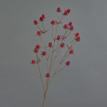 Plastik Edeldistel LOUKAS, rot, 70cm, Ø1-1,5cm