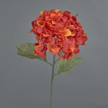 Dekoblume Hortensie URANIA, Trockenoptik, orange-rot, 75cm, Ø20cm