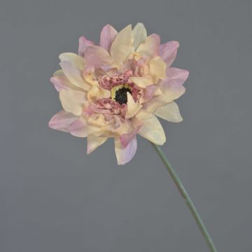 Künstliche Gerbera PAMILLA, altrosa-creme, 65cm, Ø12cm Künstliche Gerbera PAMILLA, altrosa-creme, 65cm, Ø12cm