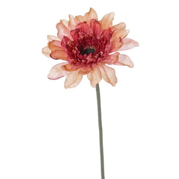 Künstliche Gerbera PAMILLA, lachs-rosa, 65cm, Ø12cm Künstliche Gerbera PAMILLA, lachs-rosa, 65cm, Ø12cm