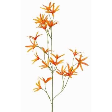 Deko Blumen Zweig Tweedia solanoides PALLAS, orange, 70cm, Ø5cm
