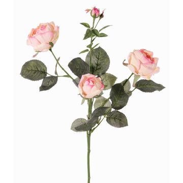 Dekoblume Rosenzweig DIAMANTIS, rosa-creme, 75cm, Ø5-8cm Dekoblume Rosenzweig DIAMANTIS, rosa-creme, 75cm, Ø5-8cm