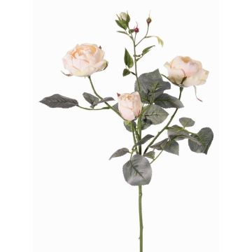 Dekoblume Rosenzweig DIAMANTIS, zartrosa, 75cm, Ø5-8cm Dekoblume Rosenzweig DIAMANTIS, zartrosa, 75cm, Ø5-8cm