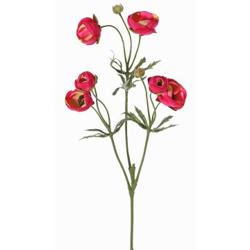 Samt Ranunkel YARIS, pink-grün, 65cm, Ø3-4,5cm